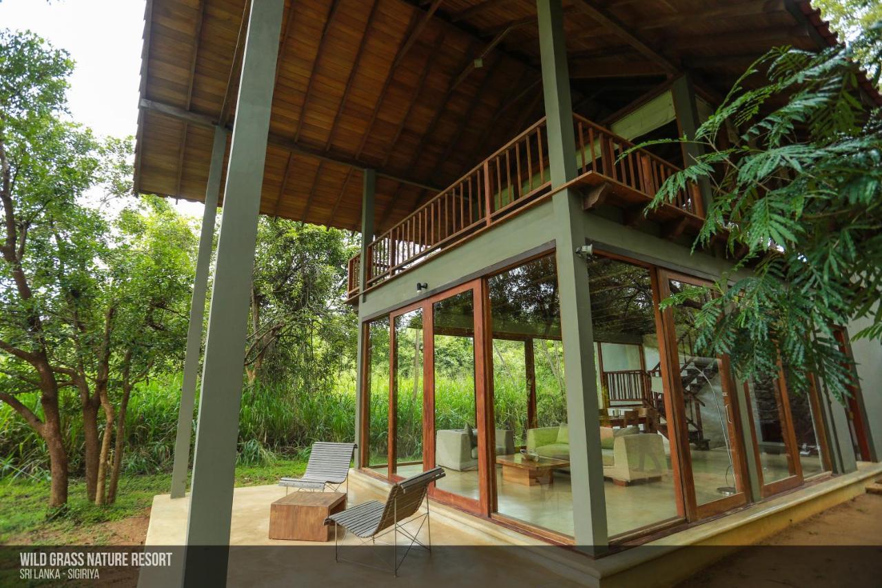 Wild Grass Nature Resort Sigirija Zewnętrze zdjęcie